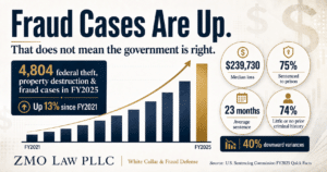 Fraud cases increase chart with statistics and details.